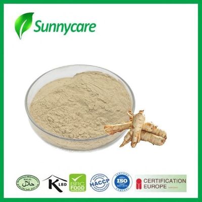 Ginseng Root Extract Powder 5% 20% 80% Ginsenosides Ginseng P. E For Health Wellness