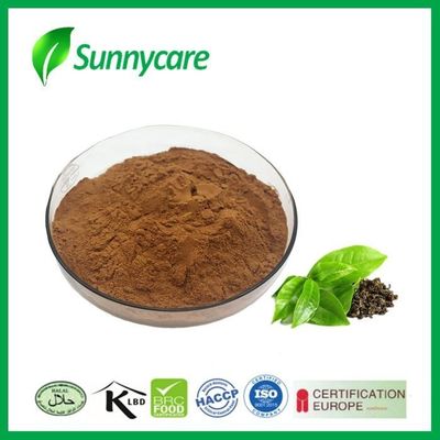 EGCG Green Tea Extract Polyphenols HPLC / UV GTP L-Theanine Epicatechin
