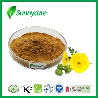 HPLC Tribulus Terrestris Extract Powder 55056-80-9 Total Saponins 80% Tribulus P.E.