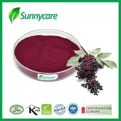 Elderberry Nutrition Supplement Powder Anthocyanidins 25% Elderberry Juice Powder