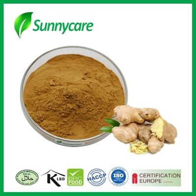 Water Soluble Ginger Extract Powder HPLC 1% - 20% Gingerol 1% - 6% Shogaol