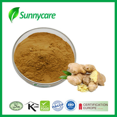 Gingerol Natural Food Additives Water Soluble Ginger Root Extract Powder HPLC