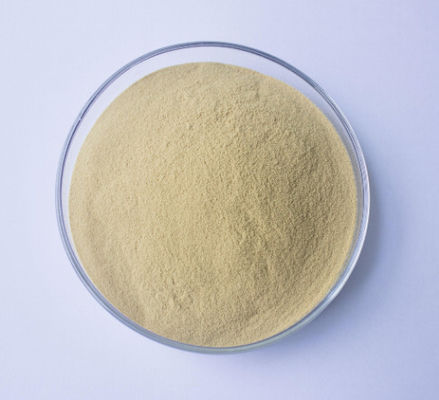 Natural Plant Centella Asiatica Extract Powder HPLC Gotu Kola Extract Powder