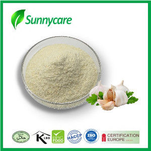 Allium Sativum Animal Nutrition Ingredients HPLC CAS 539-86-6 Garlic Extract Powder
