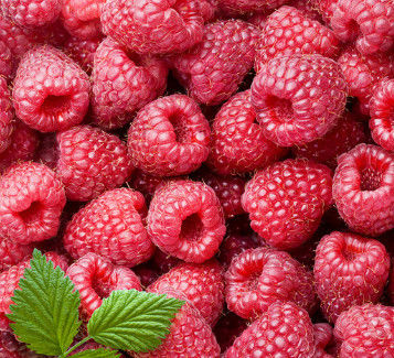 Freeze Dried Red Raspberry Powder Food Supplement Raspberry Fruit Powder