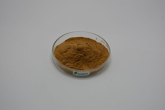 Brown Fine Powder Astragalus Extract Polysaccharides 50% UV for Health Benefits Kosher Halal