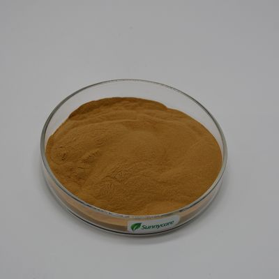 Maitake Extract Grifola Frondosa Brown Powder 4:1 TLC Polysaccharides 20% UV Food Additives