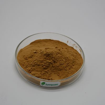 Maitake Extract Grifola Frondosa Brown Powder 4:1 TLC Polysaccharides 20% UV Food Additives