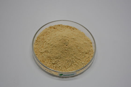 Boswellia Serrata Extract Light Brown to Yellowish Powder Boswellic Acids