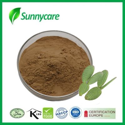 25kg/drum Cactus Extract Brown Fine Powder Plant-based Supplement