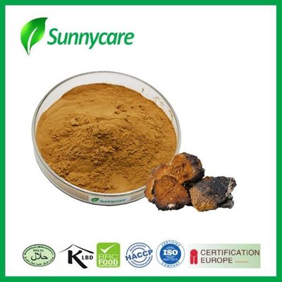 Polysaccharides 40% 50% Custom Ingredients Natural Chaga Mushroom Extract