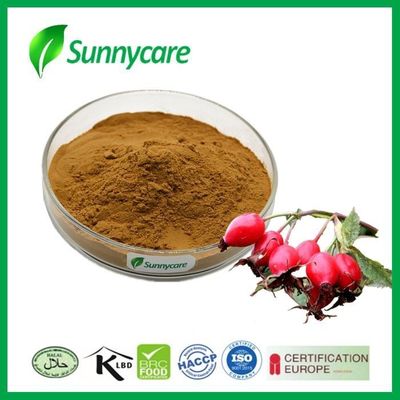 Skin Care Cosmetic Raw Materials Rosehip Extract Vitamin C Polyphenols