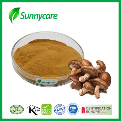 Natural Shiitake Mushroom Extract Powder Lentinus Edodes 20% Polysaccharides
