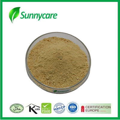Chinese Herbal Medicine Scutellaria Baicalensis Root Extract Powder Raw Material