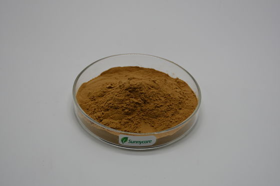 Brown Fine Powder Astragalus Extract Polysaccharides 50% UV for Health Benefits Kosher Halal