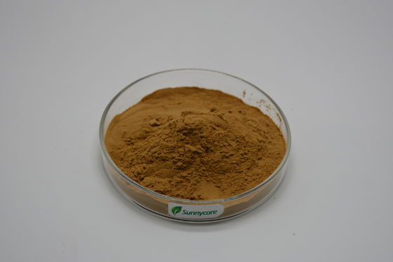 Brown Fine Powder Astragalus Extract Polysaccharides 50% UV for Health Benefits Kosher Halal