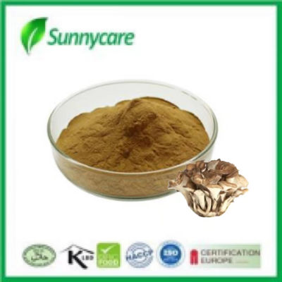 Maitake Extract Grifola Frondosa Brown Powder 4:1 TLC Polysaccharides 20% UV Food Additives