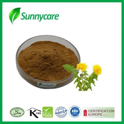 Dandelion Root Powder Taraxacum Officinale Brown Natural Detox Digestive Support