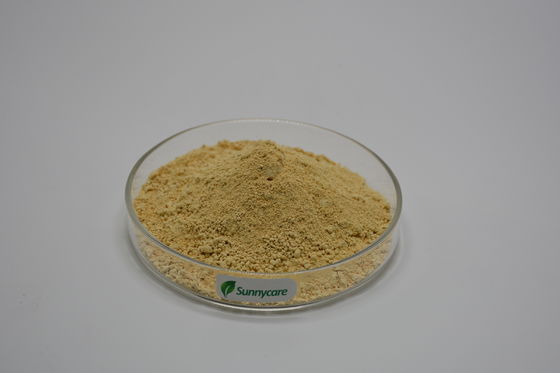 Boswellia Serrata Extract Light Brown to Yellowish Powder Boswellic Acids