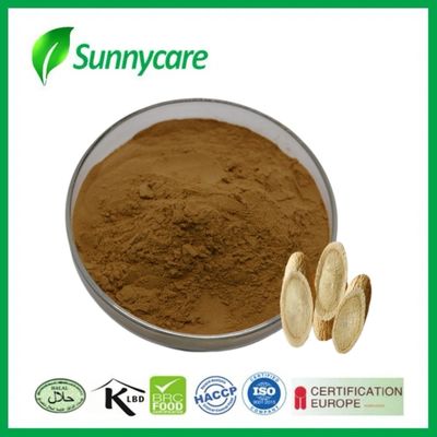 Astragalus Extract Astragalus Membranaceus Polysacchrides UV Fatigue Relief Blood Sugar Regulation