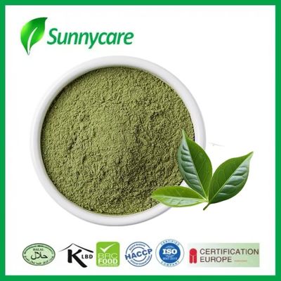 Matcha Powder Camellia Sinensis Fresh Tea Leaf Antioxidants Mental Clarity Weight Management
