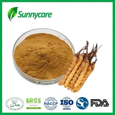 20% Polysaccharide Natural Food Additives Cordycepic Acid Cordyceps Sinensis Extract Powder