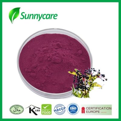 Elderberry Extract Powder Purplish Red for Immune Support and Nutritional Supplements