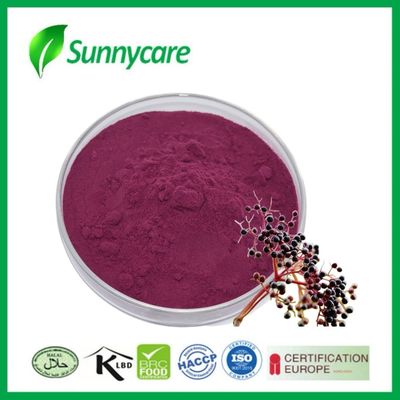 Black Elderberry Extract Powder for Respiratory and Skin Health