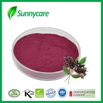 Elderberry Extract Juice Powder Sambucus nigra Natural Colorant for Food and Beverages