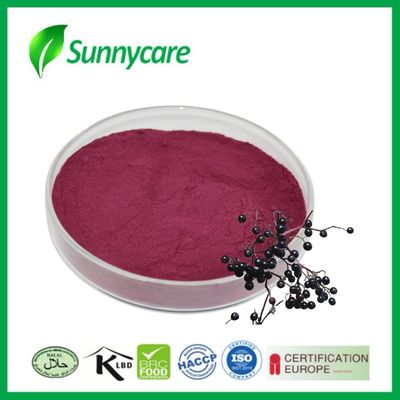 Black Elderberry Extract Powder από Sambucus nigra για την ανοσία και τη ζωτικότητα