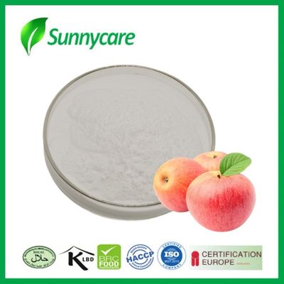 ACV Off White Plant Extract Powder Total Acidity 5% Apple Cider Vinegar Powder