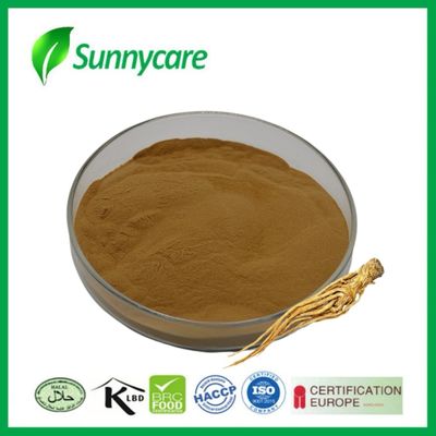 Dong Quai Root Extract Powder Angelica sinensis Χρονική ανακούφιση Φαρμακευτική βιομηχανία