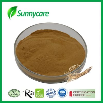 Dong Quai  Extract Powder Angelica sinensis Polysaccharides Promotes Blood Circulation